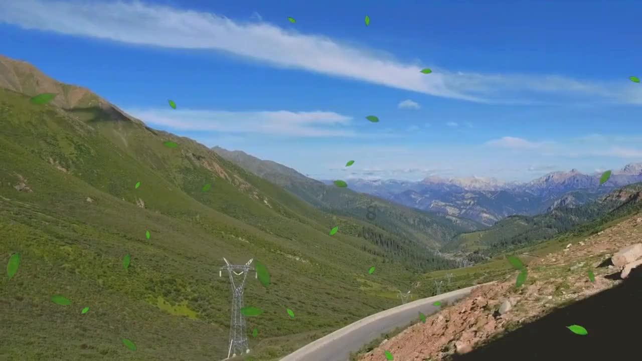 可爱小猫向上跳